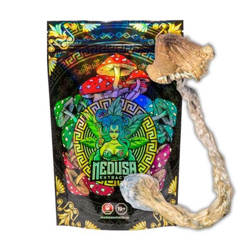 Buy Amazonian Magic Mushrooms Medusa Extracts Online in Canada - Nupep Shrooms