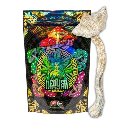 Buy B+ Magic Mushrooms Medusa Extracts Online in Canada - Nupep Shrooms