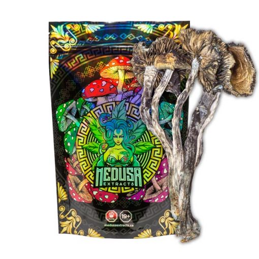 Buy Blue Meanie Magic Mushrooms Medusa Extracts Online in Canada - Nupep Shrooms