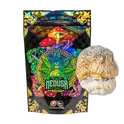 Buy Penis Envy Dino Egg Magic Mushrooms *VERY POTENT* Medusa Extracts Online in Canada - Nupep Shrooms