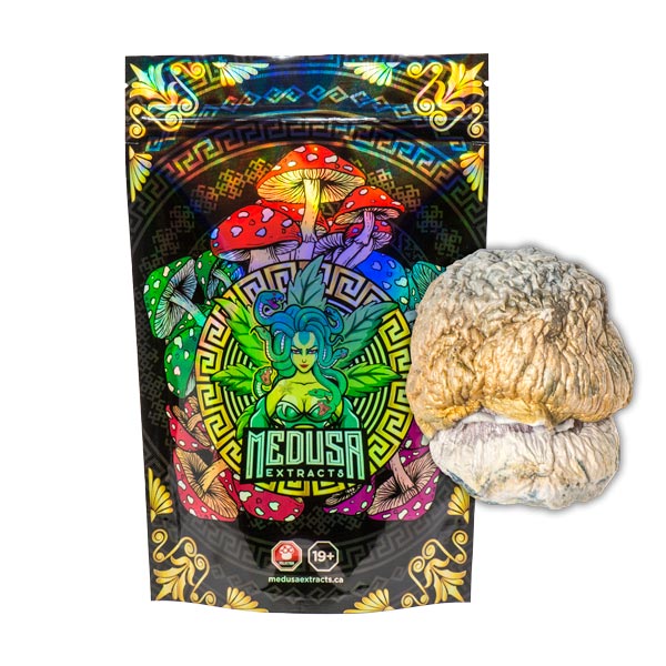 Buy Penis Envy Dino Egg Magic Mushrooms *VERY POTENT* Medusa Extracts Online in Canada - Nupep Shrooms