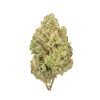 Buy Gorilla Bomb Sativa Cannabis Weed Online in Canada - Nupep Shrooms