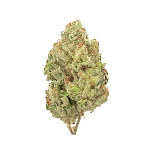 Buy Gorilla Bomb Sativa Cannabis Weed Online in Canada - Nupep Shrooms