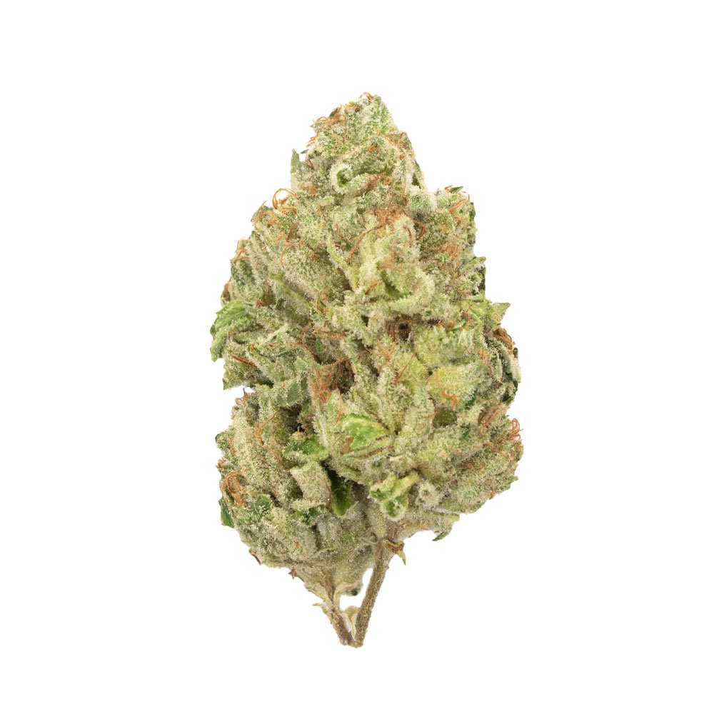Buy Gorilla Bomb Sativa Cannabis Weed Online in Canada - Nupep Shrooms