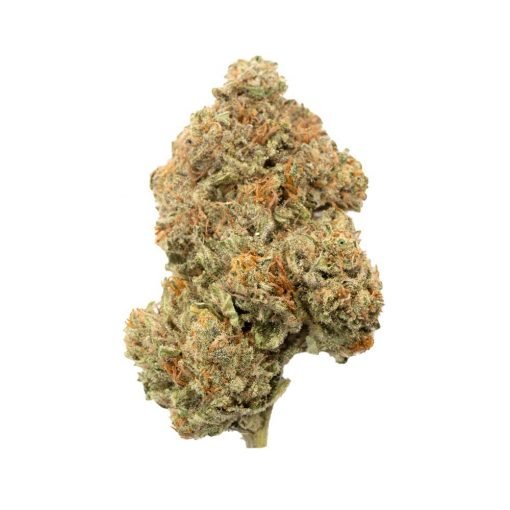 Buy Grease Monkey Hybrid Cannabis Weed Online in Canada - Nupep Shrooms