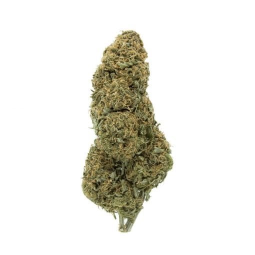 Buy Hempstar Sativa Cannabis Weed Online in Canada - Nupep Shrooms