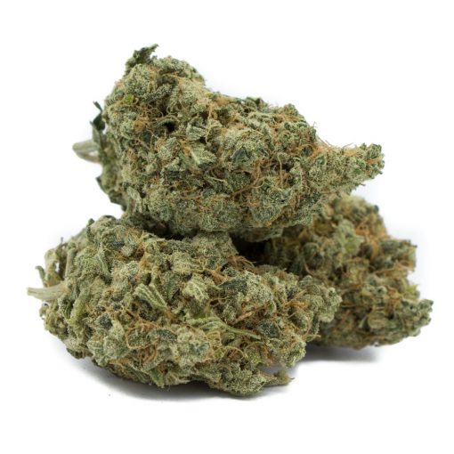 Buy Love Potion Sativa Cannabis Weed Online in Canada - Nupep Shrooms