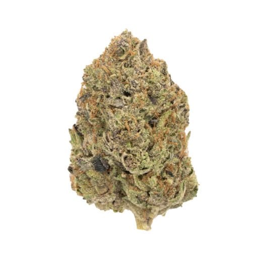 Buy Mimosa Sativa Cannabis Weed Online in Canada - Nupep Shrooms