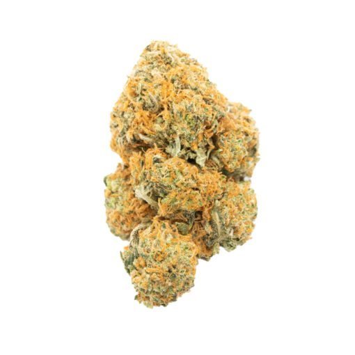 Buy Moby Dick Sativa Cannabis Weed Online in Canada - Nupep Shrooms