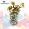 Buy NEW Tri Colour Ecuadorian Mushrooms Online in Canada - Nupep Shrooms