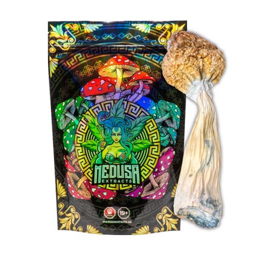 Buy Penis Envy Magic Mushrooms Medusa Extracts Online in Canada - Nupep Shrooms