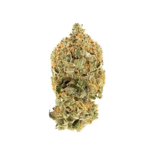 Buy Pink Kush Hybrid Cannabis Weed Online in Canada - Nupep Shrooms