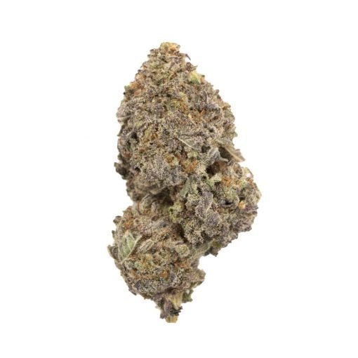 Buy Purple Space Cookies Hybrid Cannabis Weed Online in Canada - Nupep Shrooms