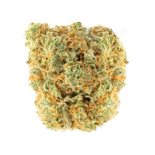 Buy UK Cheese Hybrid Cannabis Weed Online in Canada - Nupep Shrooms