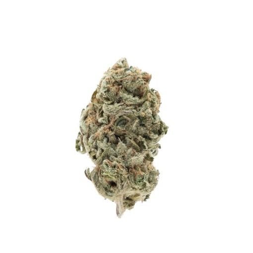 Buy White Gummy Hybrid Cannabis Weed Online in Canada - Nupep Shrooms