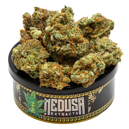 Buy Blueberry Kush Tuna Can Medusa Extracts Online in Canada - Nupep Shrooms