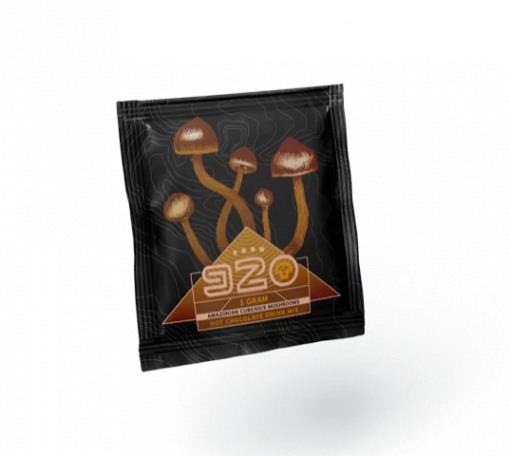 Buy 920 Hot Chocolate – 1000mg Online in Canada - Nupep Shrooms