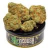 Buy Jack Herer Tuna Can Medusa Extracts Online in Canada - Nupep Shrooms