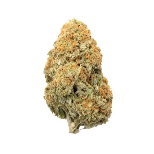 Buy Lemon Drop Hybrid Cannabis Weed Online in Canada - Nupep Shrooms