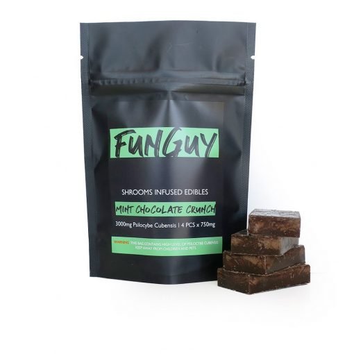 Buy FunGuy – Mint Chocolate Crunch 3000mg Online in Canada - Nupep Shrooms