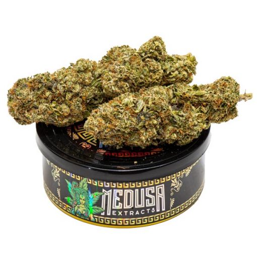 Buy Rockstar OG Tuna Can Medusa Extracts Online in Canada - Nupep Shrooms