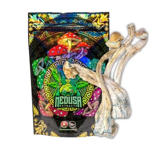 Buy Tri-Colour Ecuadorian Magic Mushrooms Medusa Extracts Online in Canada - Nupep Shrooms