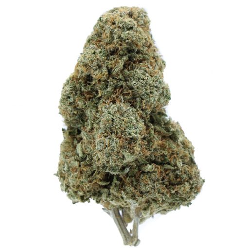 Buy Ancient Alien Hybrid Cannabis Weed Deadhead Chemist Online in Canada - Nupep Shrooms