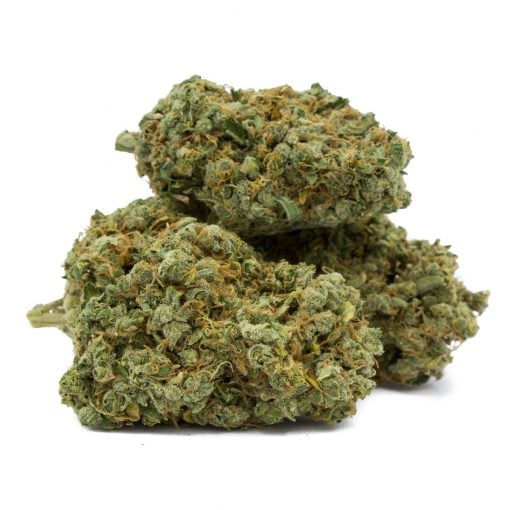 Buy Big Jack Sativa Cannabis Weed Deadhead Chemist Online in Canada - Nupep Shrooms