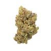 Buy Bluefin Tuna Hybrid Cannabis Weed Deadhead Chemist Online in Canada - Nupep Shrooms