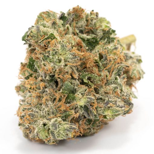 Buy Cotton Candy Kush Sativa Cannabis Weed Deadhead Chemist Online in Canada - Nupep Shrooms