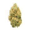 Buy Death Bubba Indica Cannabis Weed Deadhead Chemist Online in Canada - Nupep Shrooms