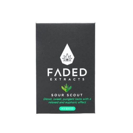 Buy Sour Scout Shatter (Faded Cannabis Co) Online in Canada - Nupep Shrooms