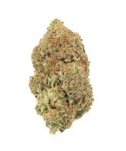 Buy Gorilla Glue Hybrid Cannabis Weed Deadhead Chemist Online in Canada - Nupep Shrooms