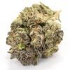 Buy Grand Daddy Purple Indica Cannabis Weed Deadhead Chemist Online in Canada - Nupep Shrooms