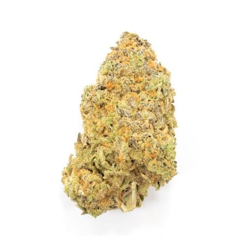 Buy Grape God Hybrid Cannabis Weed Deadhead Chemist Online in Canada - Nupep Shrooms