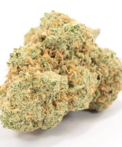 Buy Hawaiian Snow Hybrid Cannabis Weed Deadhead Chemist Online in Canada - Nupep Shrooms