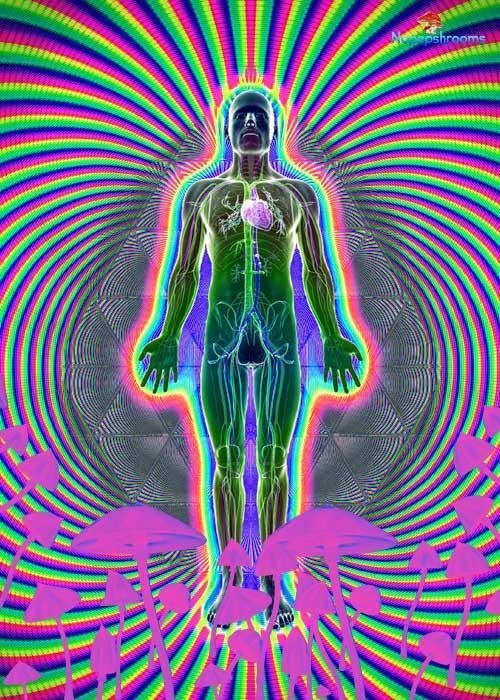 How will Magic Mushrooms Affect Me