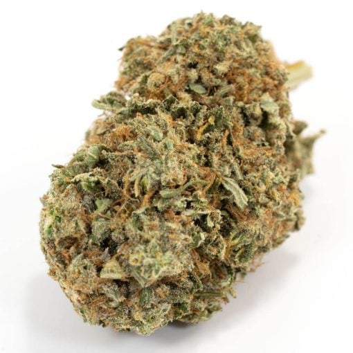 Buy Jack Diesel Sativa Cannabis Weed Deadhead Chemist Online in Canada - Nupep Shrooms