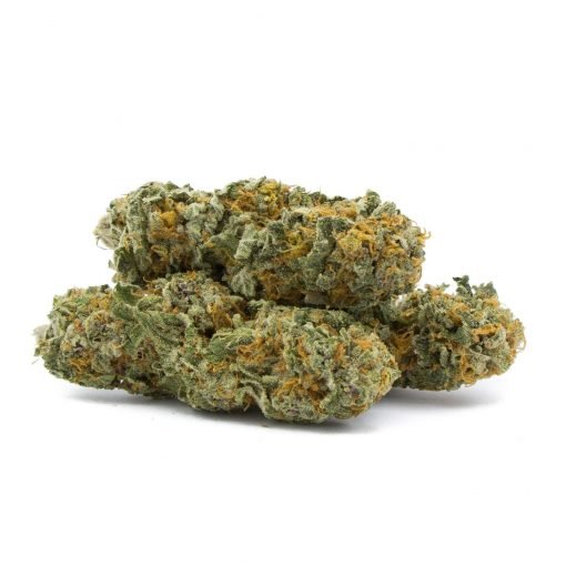 Buy Jaggermeister By Consortium Collective Hybrid Cannabis Weed Deadhead Chemist Online in Canada - Nupep Shrooms