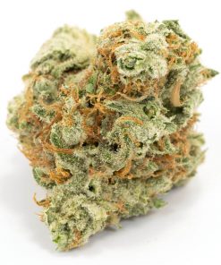 Buy Lemon Frost Hybrid Cannabis Weed Deadhead Chemist Online in Canada - Nupep Shrooms