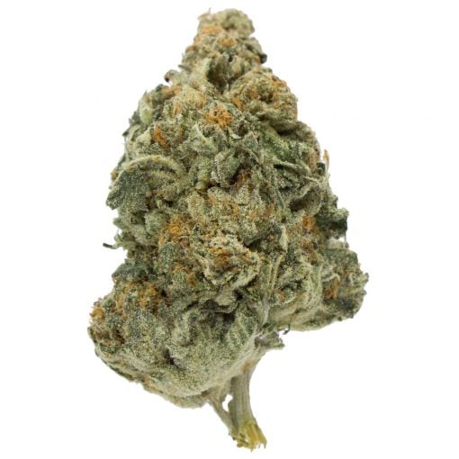 Buy Lucky Charms Hybrid Cannabis Weed Deadhead Chemist Online in Canada - Nupep Shrooms