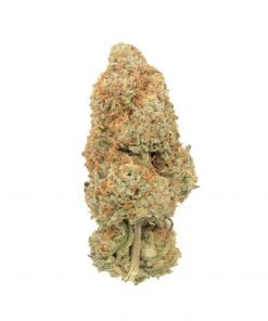 Buy Maui Wowie Hybrid Cannabis Weed Deadhead Chemist Online in Canada - Nupep Shrooms