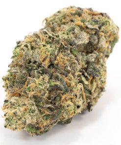 Buy Mimosa Hybrid Cannabis Weed Deadhead Chemist Online in Canada - Nupep Shrooms