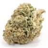 Buy Moby Dick Sativa Cannabis Weed Deadhead Chemist Online in Canada - Nupep Shrooms