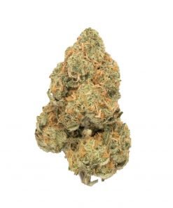 Buy NYC Diesel Sativa Cannabis Weed Deadhead Chemist Online in Canada - Nupep Shrooms