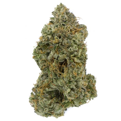 Buy OG Shark Hybrid Cannabis Weed Deadhead Chemist Online in Canada - Nupep Shrooms