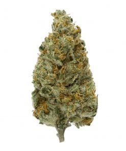 Buy Orange Barbara Hybrid Cannabis Weed Deadhead Chemist Online in Canada - Nupep Shrooms