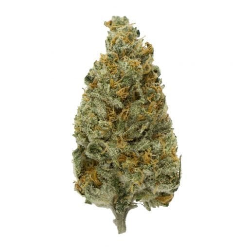 Buy Orange Barbara Hybrid Cannabis Weed Deadhead Chemist Online in Canada - Nupep Shrooms