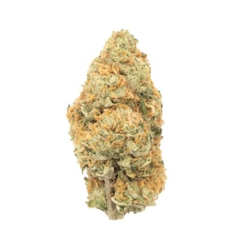 Buy Orange Cookies Sativa Cannabis Weed Deadhead Chemist Online in Canada - Nupep Shrooms