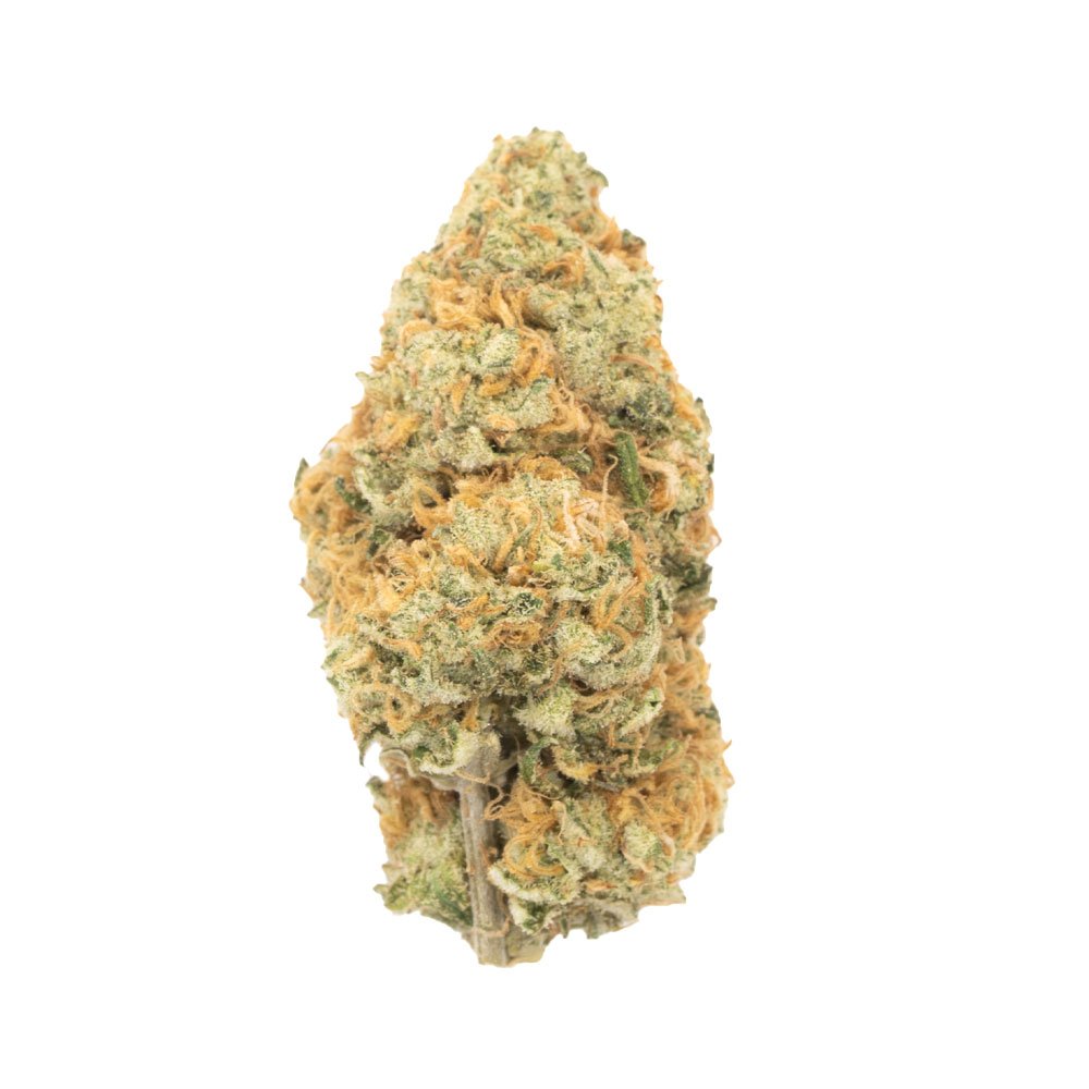 Buy Orange Cookies Sativa Cannabis Weed Deadhead Chemist Online in Canada - Nupep Shrooms